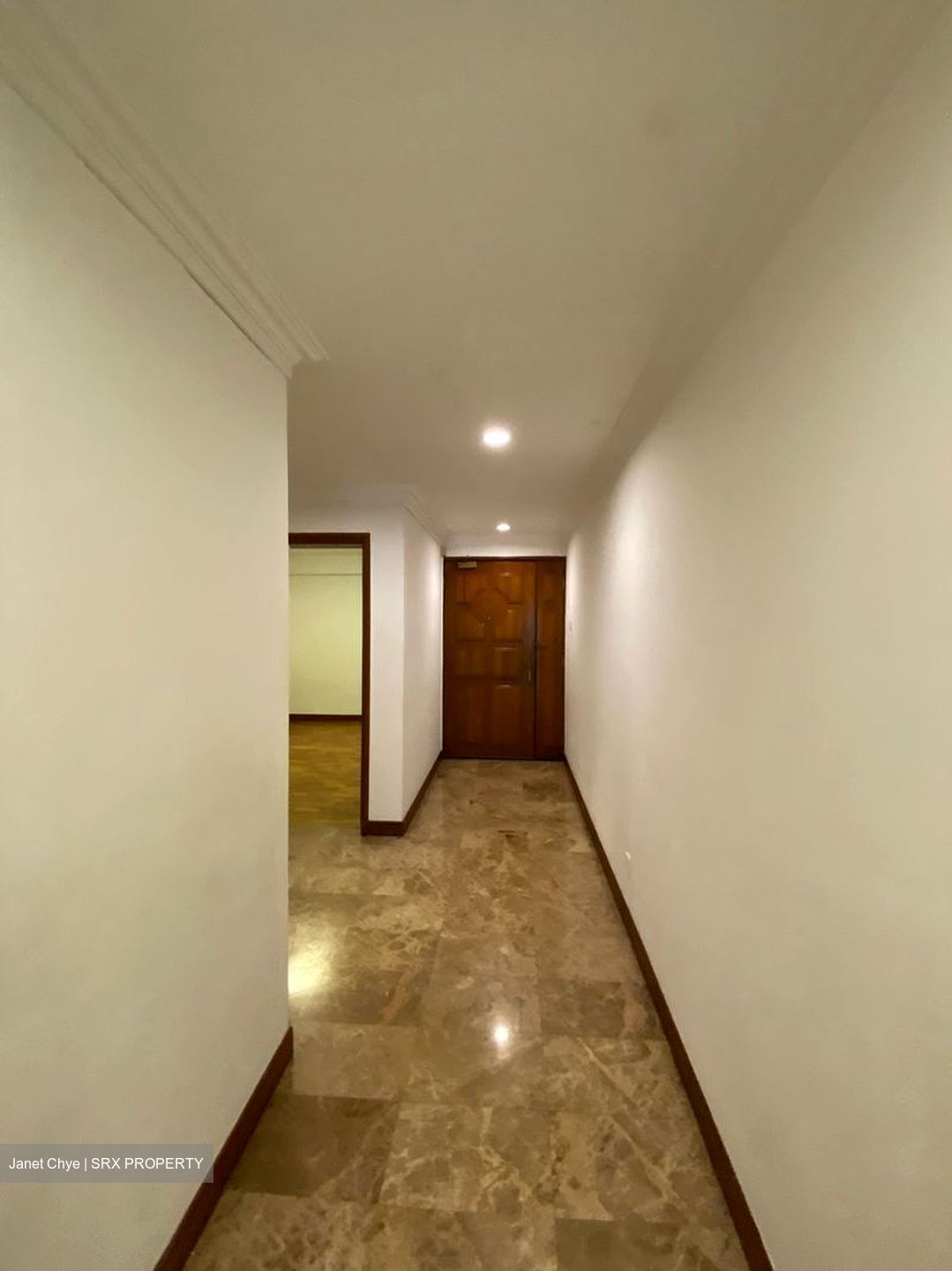 Cavenagh Lodge (D9), Apartment #533892531